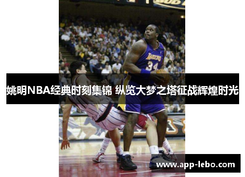 姚明NBA经典时刻集锦 纵览大梦之塔征战辉煌时光