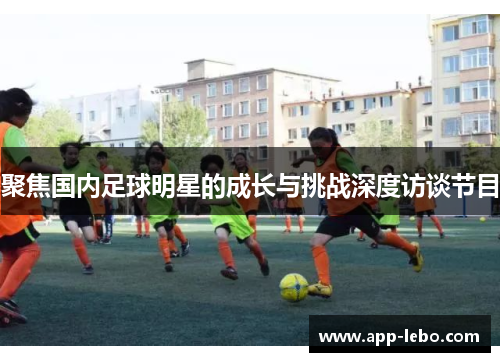 聚焦国内足球明星的成长与挑战深度访谈节目