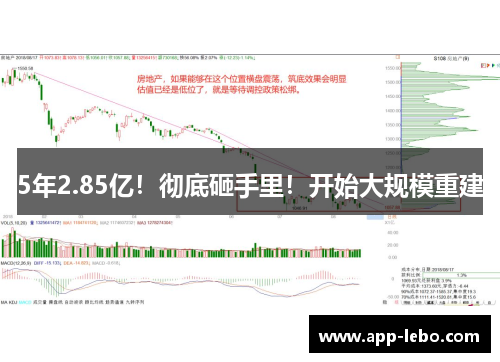 5年2.85亿！彻底砸手里！开始大规模重建